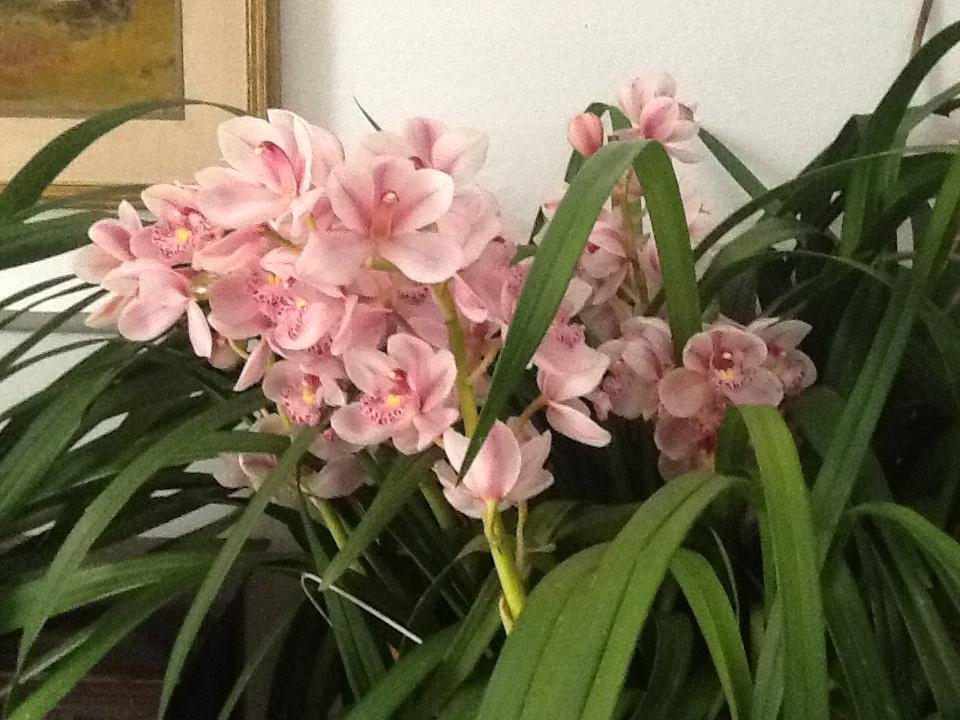 פיזה Bed And Breakfast San Michele מראה חיצוני תמונה